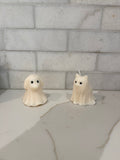 Ghost Cat and Dog